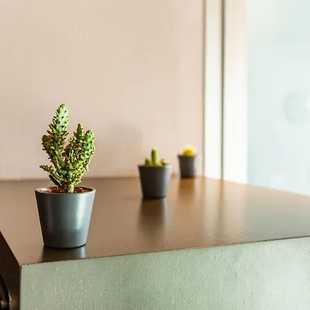 Daire Stylish Apartment With Panaromic View In Besiktas İstanbul